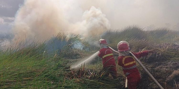 Karhutla Nasional Capai 107.465 Hektare