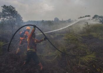 PTPN IV PalmCo Perketat Patroli dan Mitigasi Karhutla di Empat Provinsi