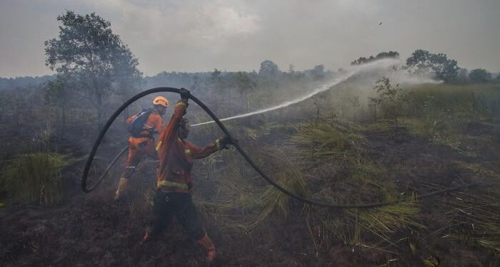 PTPN IV PalmCo Perketat Patroli dan Mitigasi Karhutla di Empat Provinsi