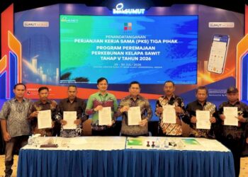 BPDP Gelontorkan Rp168 Miliar Dana PSR untuk 2.800 Hektare Kebun Sawit Rakyat