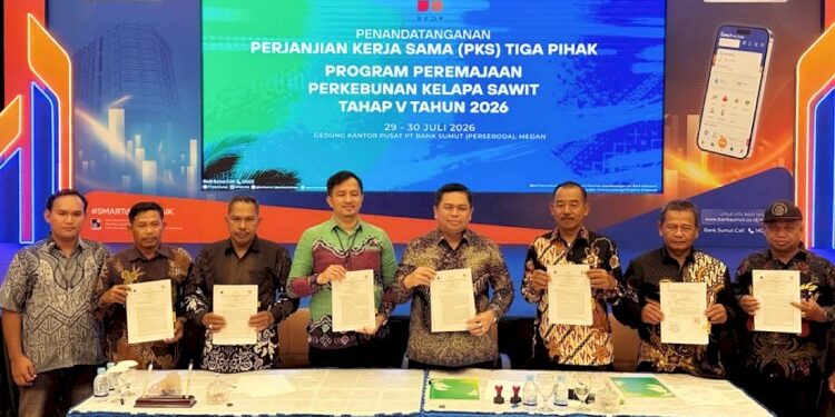 BPDP Gelontorkan Rp168 Miliar Dana PSR untuk 2.800 Hektare Kebun Sawit Rakyat