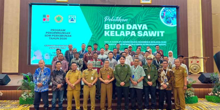 BPDP Bersama Ditjenbun dan PT SIB Gelar Pelatihan Budidaya untuk Peningkatan Produktivitas Sawit Rakyat Bengkalis