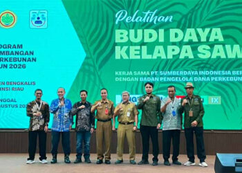 Riau Dorong Pekebun Naikkan Standar Budidaya untuk Genjot Produktivitas Sawit Rakyat