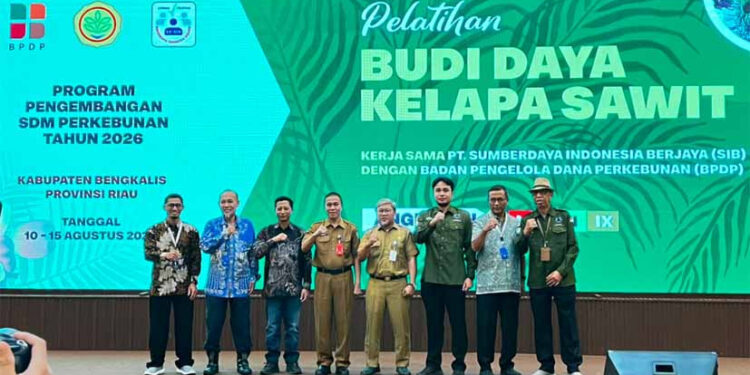 Riau Dorong Pekebun Naikkan Standar Budidaya untuk Genjot Produktivitas Sawit Rakyat