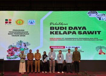 Atasi Keterbatasan Lahan, BPDP, Ditjenbun dan PT SIB Gelar Pelatihan Sawit Pekebun Rokan Hilir
