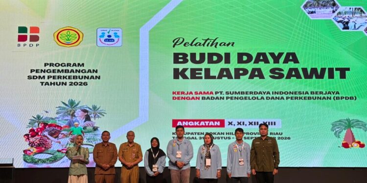 Atasi Keterbatasan Lahan, BPDP, Ditjenbun dan PT SIB Gelar Pelatihan Sawit Pekebun Rokan Hilir