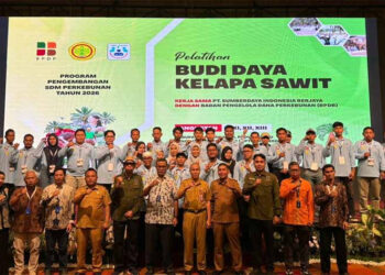 Tingkatkan Kualitas SDM, BPDP Dukung Pekebun Sawit Rokan Hilir Lebih Profesional