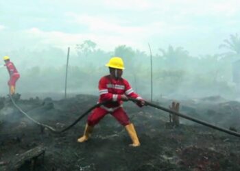 GAPKI Terbitkan Surat Imbauan ke Seluruh Anggota Cegah Karhutla di Lahan Gambut