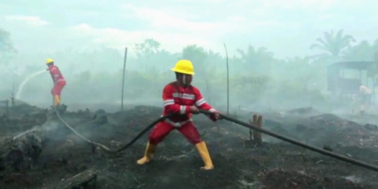 GAPKI Terbitkan Surat Imbauan ke Seluruh Anggota Cegah Karhutla di Lahan Gambut