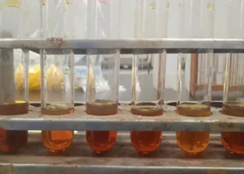 Pemanfaatan Iradiasi Gamma untuk Produksi Biodiesel dari Minyak Jelantah