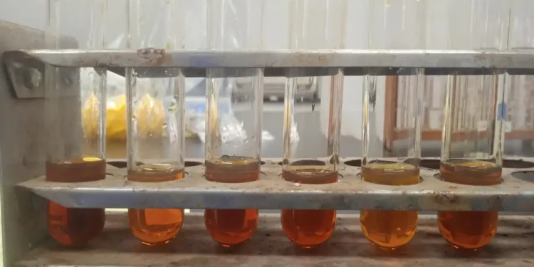 Pemanfaatan Iradiasi Gamma untuk Produksi Biodiesel dari Minyak Jelantah