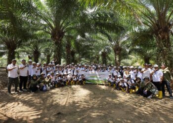 PT Trifos International, Ditjebun Bersama BPDP Gelar Pelatihan Panen dan Pascapanen Sawit untuk Pekebun Luwu Timur
