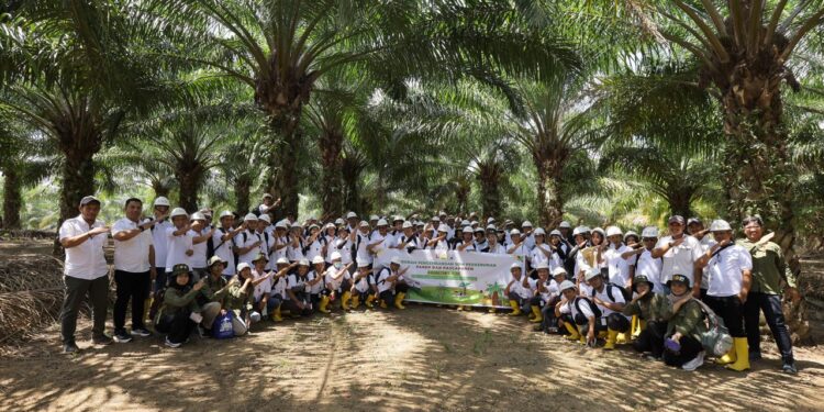 PT Trifos International, Ditjebun Bersama BPDP Gelar Pelatihan Panen dan Pascapanen Sawit untuk Pekebun Luwu Timur