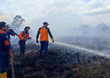 APHI-GAPKI Dorong Protokol Bersama Percepat Pemadaman Karhutla