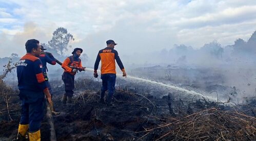 APHI-GAPKI Dorong Protokol Bersama Percepat Pemadaman Karhutla