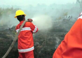 Pakar Universitas Indonesia: Penyebab Utama Karhutla Adalah Perilaku Manusia