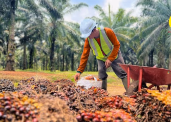 Laba Bersih Agrinas Palma Capai Rp890 Miliar pada Semester I 2026