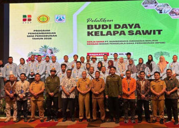 BPDP Dorong Pekebun Sawit Rokan Hilir Naik Kelas