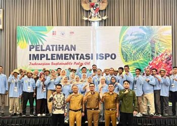 Pekebun Sawit Naik Kelas, BPDP, Ditjenbun dan PT SIB Gelar Pelatihan ISPO