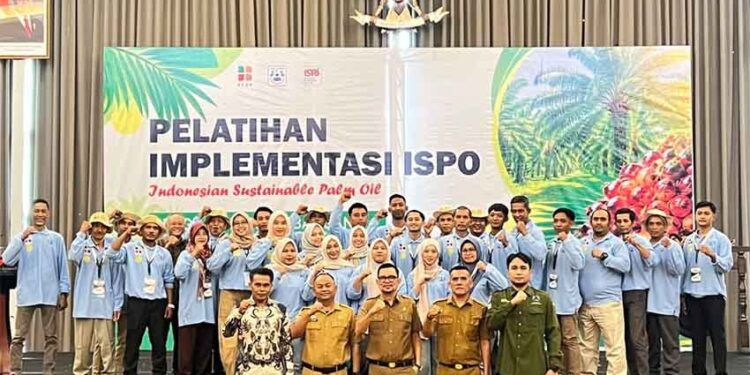 Pekebun Sawit Naik Kelas, BPDP, Ditjenbun dan PT SIB Gelar Pelatihan ISPO