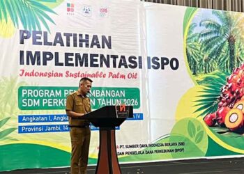 BPDP, Ditjenbun dan PT SIB Adakan Pelatihan ISPO untuk Dongkrak Produktivitas Sawit Rakyat