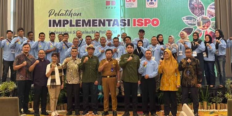 BPDP, Ditjenbun dan PT SIB Lakukan Pelatihan ISPO untuk 60 Pekebun Sarolangun