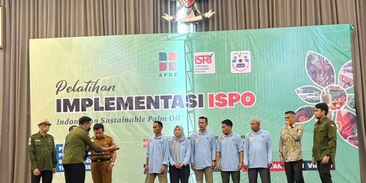 BPDP, Ditjenbun dan PT SIB Gelar Pelatihan ISPO untuk Perkuat Kapasitas Pekebun Tebo Jambi
