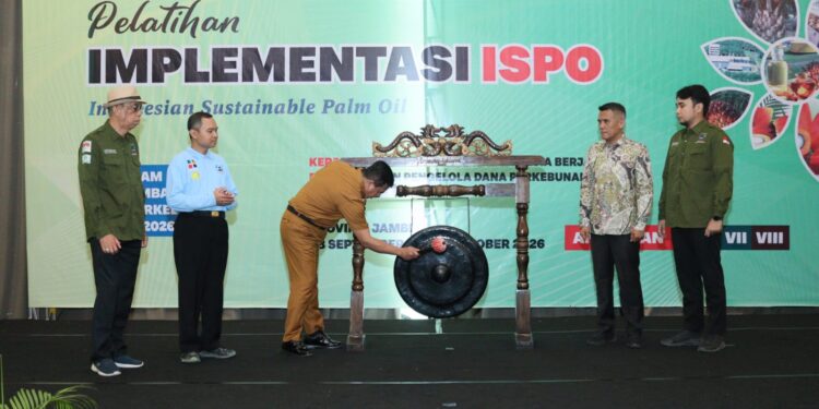 Perkuat Kapasitas Pekebun Jamnbi, BPDP, Ditjenbun dan PT SIB Gelar Pelatihan ISPO