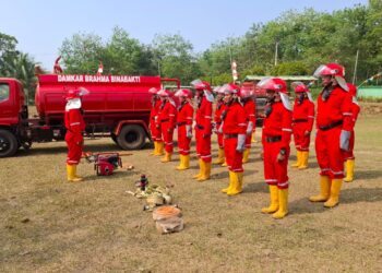 TAP Kerahkan Kesiapsiagaan Penuh Hadapi Karhutla, BBB Turun Padamkan Api di Luar Konsesi