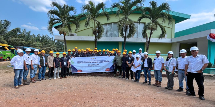 111 Pekebun Sawit Ikuti Pelatihan Teknis Panen dan Pascapanen di Palembang