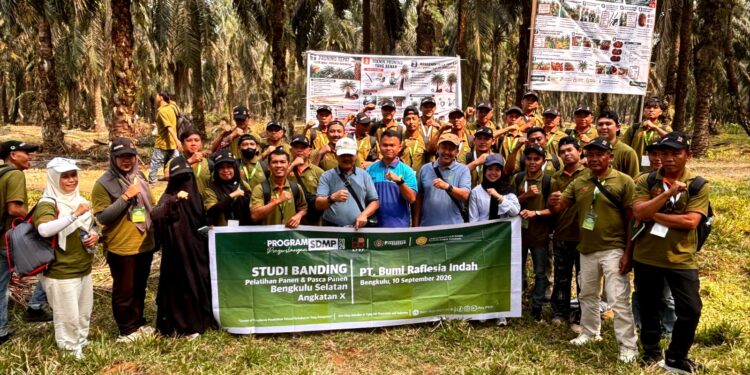 115 Pekebun Bengkulu Selatan Ikut Pelatihan Panen dan Pascapanen untuk Dongkrak Pendapatan