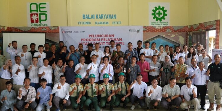 Program Sawit Terampil Sinar Mas Perluas Pendampingan Pekebun Swadaya di Langkat