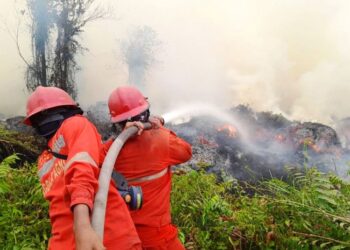 Hotspot Nasional Turun 84 Titik, Operasi Karhutla Tetap Diperkuat