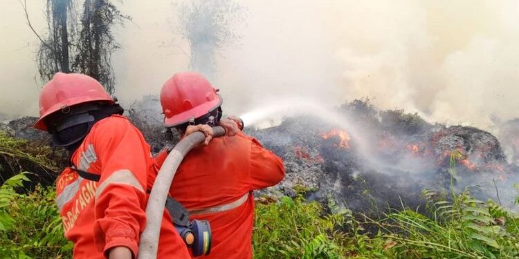 Hotspot Nasional Turun 84 Titik, Operasi Karhutla Tetap Diperkuat